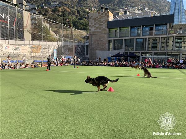 Els guies canins de la Policia ofereixen una exhibició per a més de 360 infants