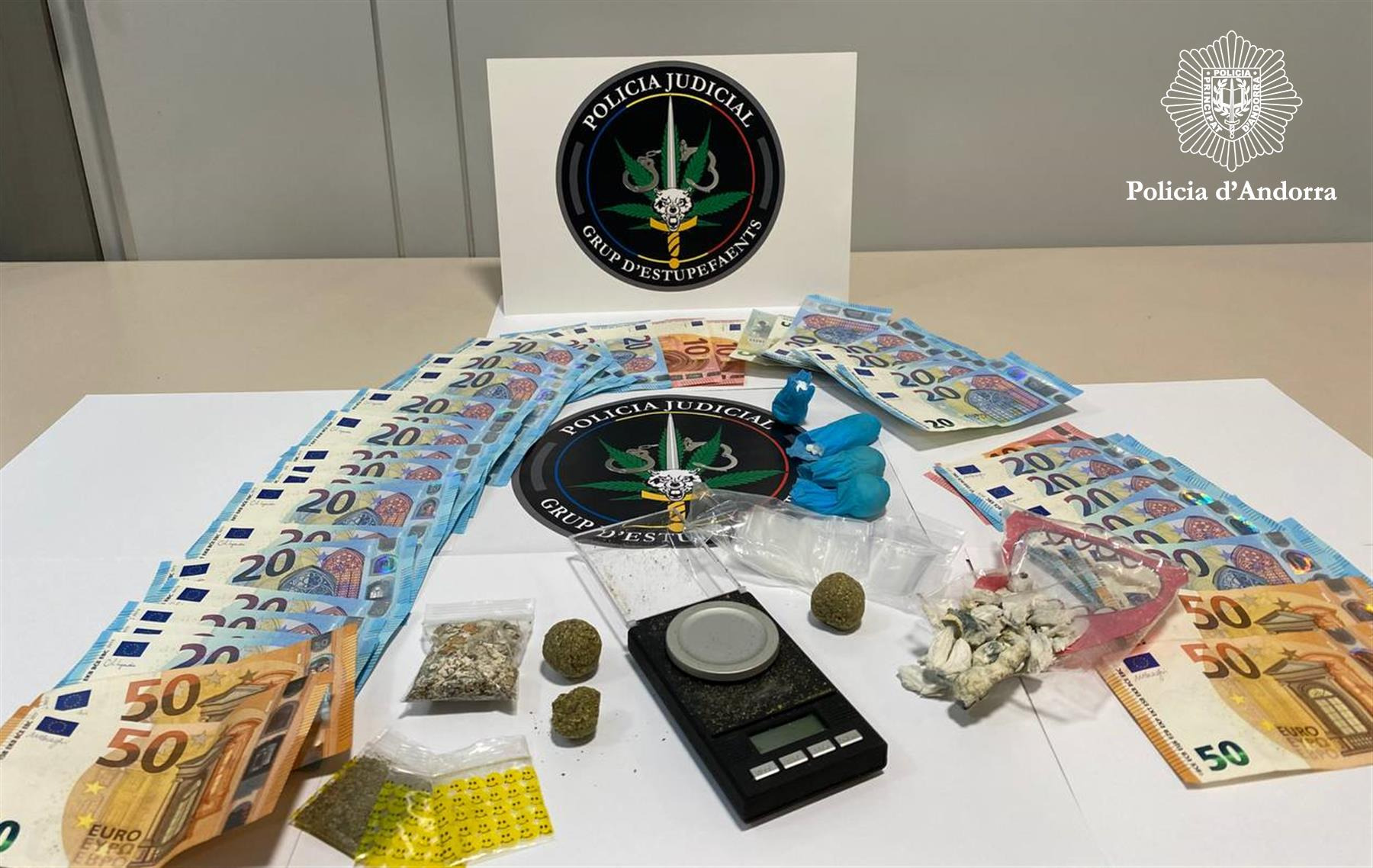 Detinguts nou turistes amb prop de 30 grams de cocaïna, 13 de marihuana i 8 de bolets